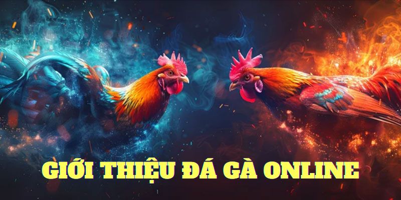 Loại hình chọi kê online yêu thích nhất 